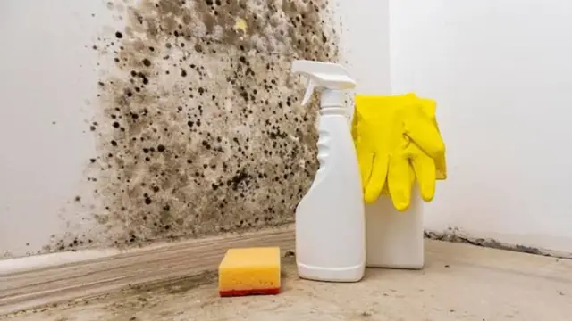 Black mold spots on a wall with a spray bottle, gloves and sponge nearby