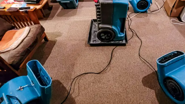 Blue air movers drying wet carpet in a room