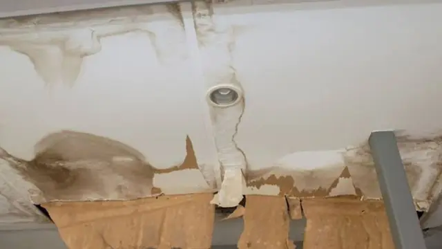 Water-damaged ceiling with peeling paint around a light fixture opening