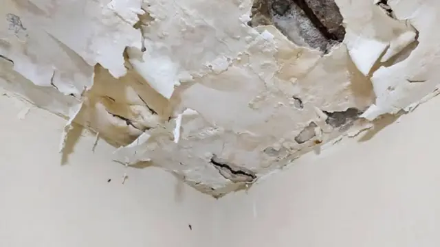 Ceiling paint peeling and bubbling from water damage