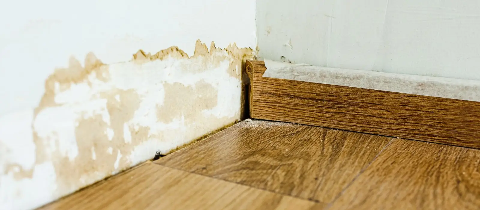 Water stain and peeling paint along the base of a wall above wood flooring
